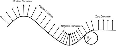 Application of seismic attribute analysis techniques to multi-scale natural fractures description: a case study of the Longmaxi-Wufeng formation in H shale gas block, Yangtze plate, China